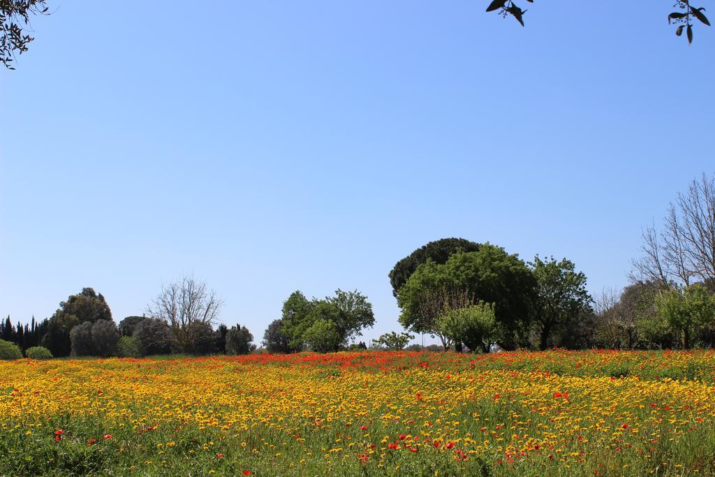 Casina Bardoscia Βίλα Cutrofiano Εξωτερικό φωτογραφία